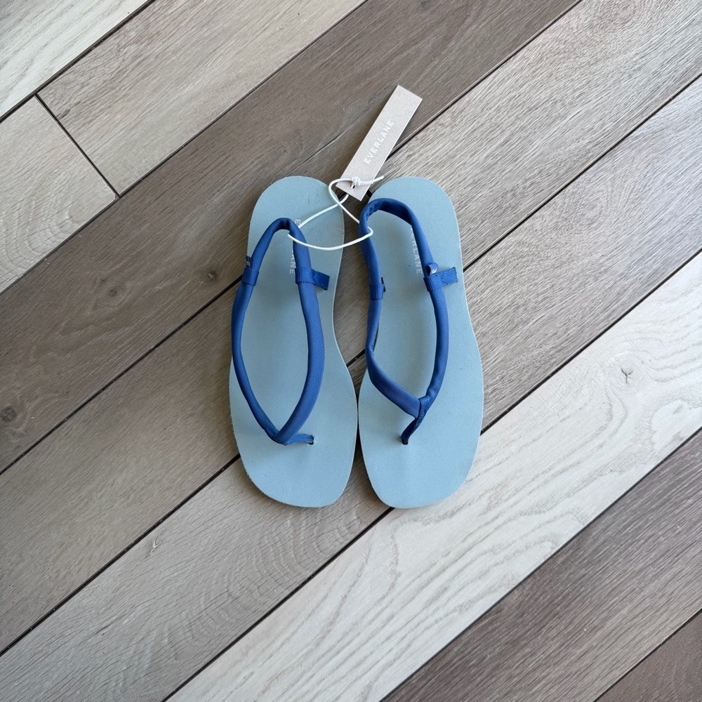 Everlane ReNew strappy blue flip-flop sandals